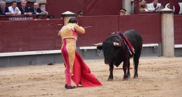 El lento avance hacia una España sin tauromaquia