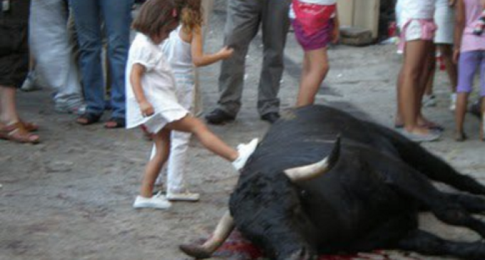 Varios menores han fallecido en actos con cabestros y vaquillas