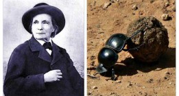 Historias de los que sabían observar