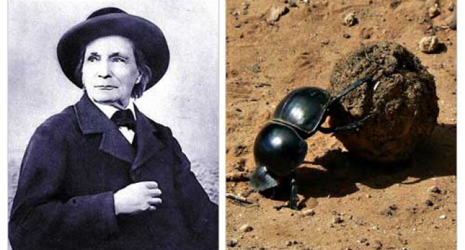 Historias de los que sabían observar