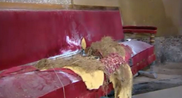 12 años de prisión por poner un explosivo en El Pilar