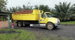 Colombia: primeros apuntes del viaje para investigar el aceite de palma