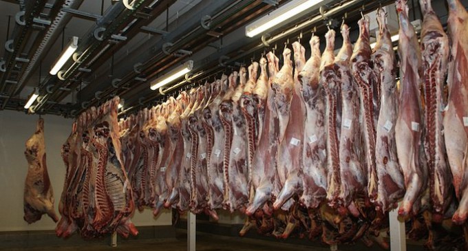 El lobby español de la carne pagó estudios para contradecir a la OMS