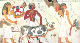 La amnistía fiscal… en el antiguo Egipto