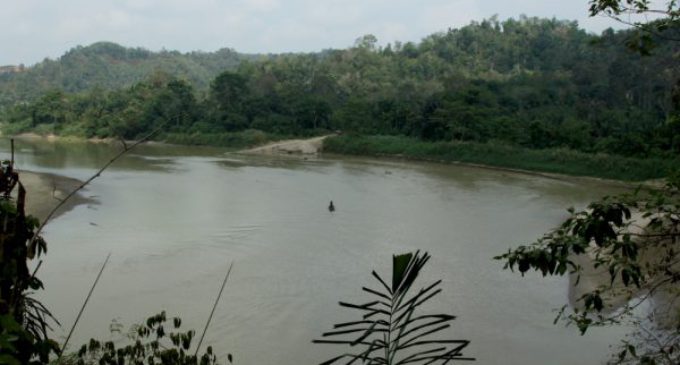Aceite de palma en Indonesia: la batalla por el agua