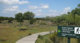 La Junta regulariza 400 nuevas hectáreas en Doñana