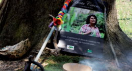 El 65% de los asesinatos a defensores del medio ambiente se produce en América Latina