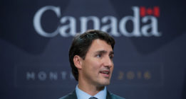 Europa y Canadá dan a luz al hermano pequeño del TTIP