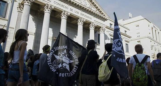 #5N: el antiespecismo sale a las calles en defensa de los animales