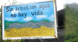 Hidroeléctricas insaciables en Guatemala