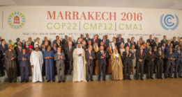 Cop22: ecologistas frustrados y empresarios felices en el día de la foto