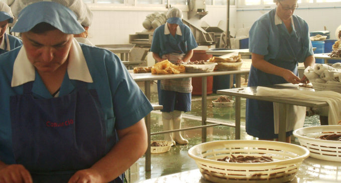 ‘Sobadoras de anchoa’: memorias de las trabajadoras de Santoña