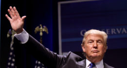 Trump y las mariposas