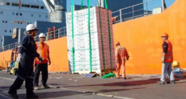 Los estibadores comienzan la huelga para salvar sus empleos