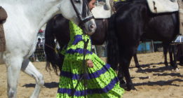 Diez caballos muertos en El Rocío