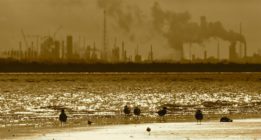 Científicos de Harvard confirman que Exxon confundió al público sobre el cambio climático