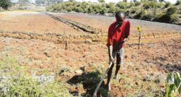 BEI: Zumbidos en vez de electricidad en Camerún (3)