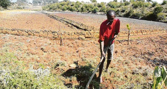 BEI: Zumbidos en vez de electricidad en Camerún (3)