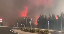 Cientos de incendios azotan Galicia y Portugal