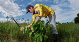 Noticias climáticas de la semana: la compra-venta de derechos de contaminación