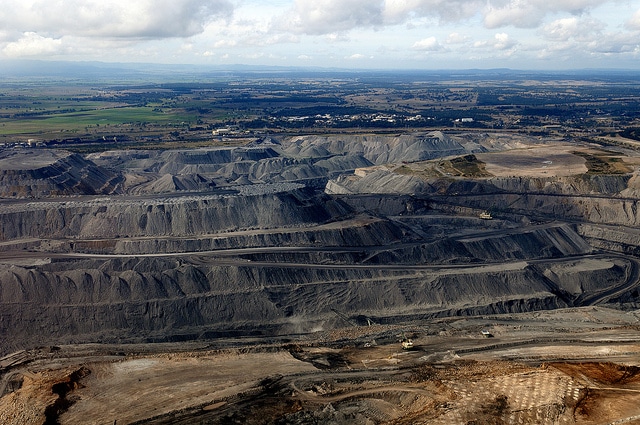 Minta en el valle de Hunter, cerca del puerto de Newcastle (Australia). Foto: Max Phillips (Jeremy Buckingham MLC).
