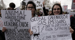 Noticias climáticas: del deshielo a un impuesto a la carne
