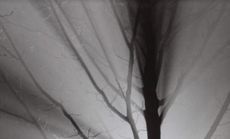 Nocturnidades