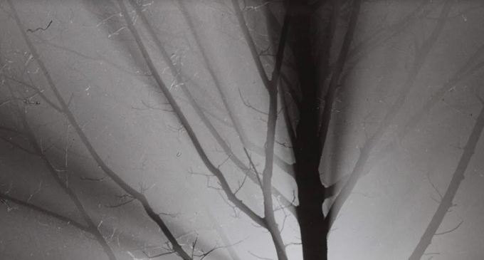 Nocturnidades