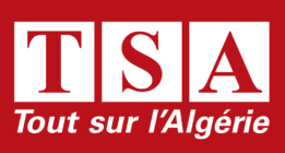 Tout sur l’Algèrie: sobrevivir a la censura política en Argelia