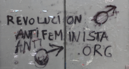 El supremacismo masculino: la renovada reacción de la extrema derecha contra las mujeres