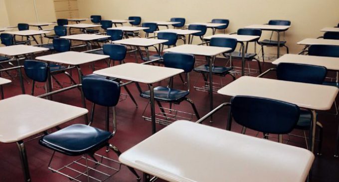 Saliendo del cole en manadas: una educación sin valores