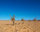 Noticias climáticas: Científicos advierten que los humanos estamos a punto de perder el control del cambio climático