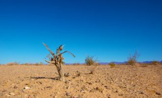 Noticias climáticas: Científicos advierten que los humanos estamos a punto de perder el control del cambio climático
