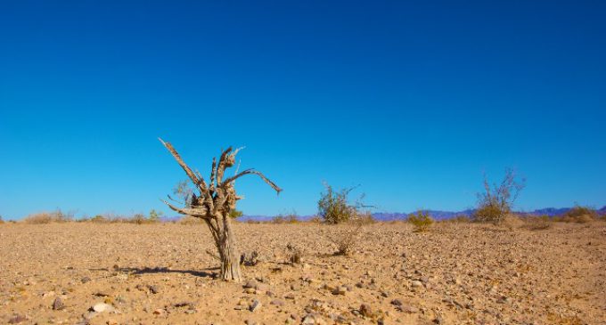 Noticias climáticas: Científicos advierten que los humanos estamos a punto de perder el control del cambio climático