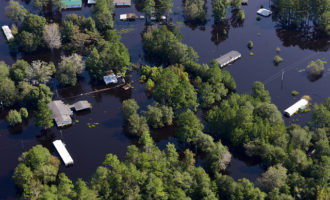 Noticias climáticas: La gran patronal europea se confabula contra la acción climática