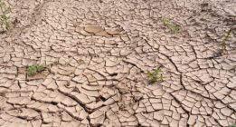 Noticias climáticas: Triplicar esfuerzos o sufrir las consecuencias