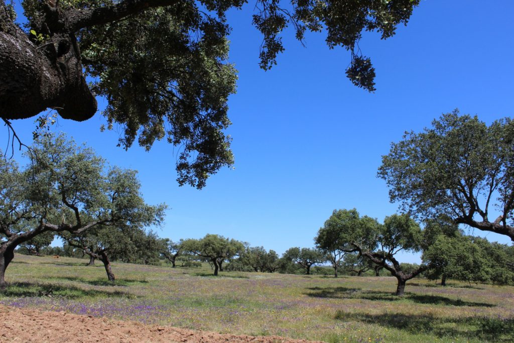 extremadura