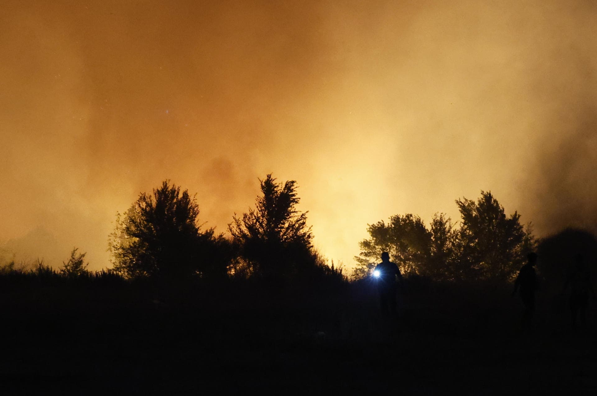 No todos los incendios son iguales: ¿qué significan los niveles de 0 a 3?