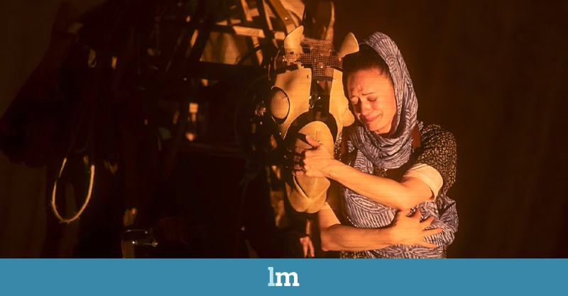 ‘Sáhara: La barca del desierto’, un viaje a la herida abierta del pueblo saharaui